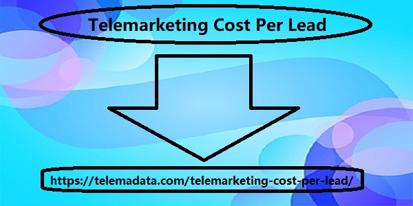 Telemarketing Cost Per Lead